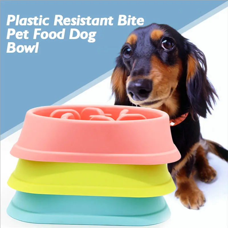 Собака ест лакомство. Таксы еда дзен. Корм для собак. Такса на диете. Таксы еда дзен.