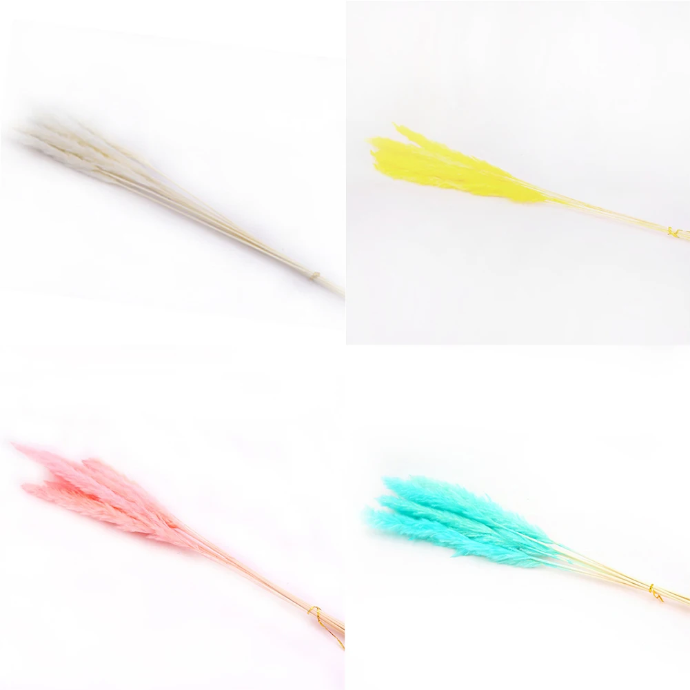 15 шт. Bulrush натуральный Рид сушеные маленькие Пампы трава Phragmites коммуниса свадебный цветок букет украшение дома