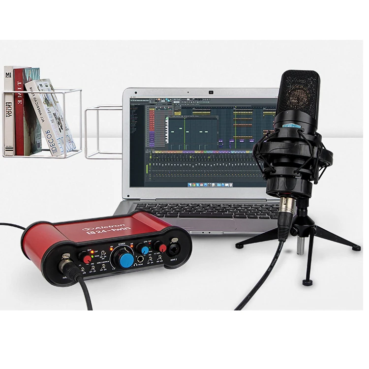 Alctron U24-TWIN sound card 24bit Dual Channel USB