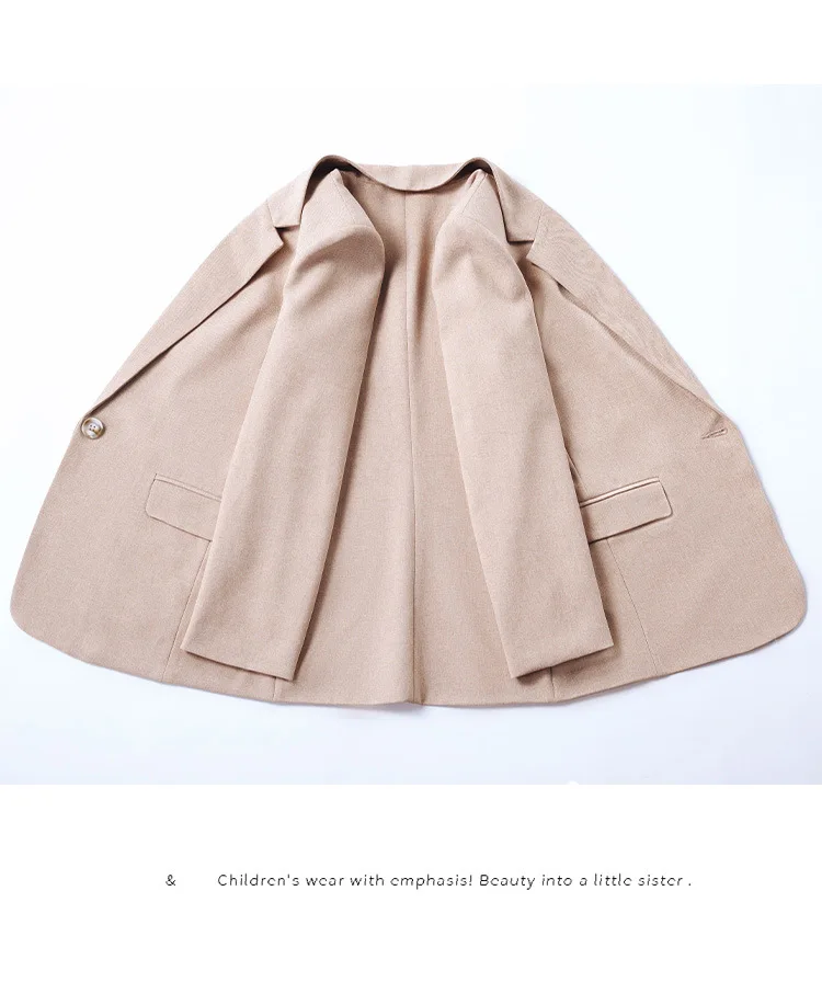 Осень Зима минималистичный костюм женский шикарный Свободный Повседневный женский Блейзер Куртка