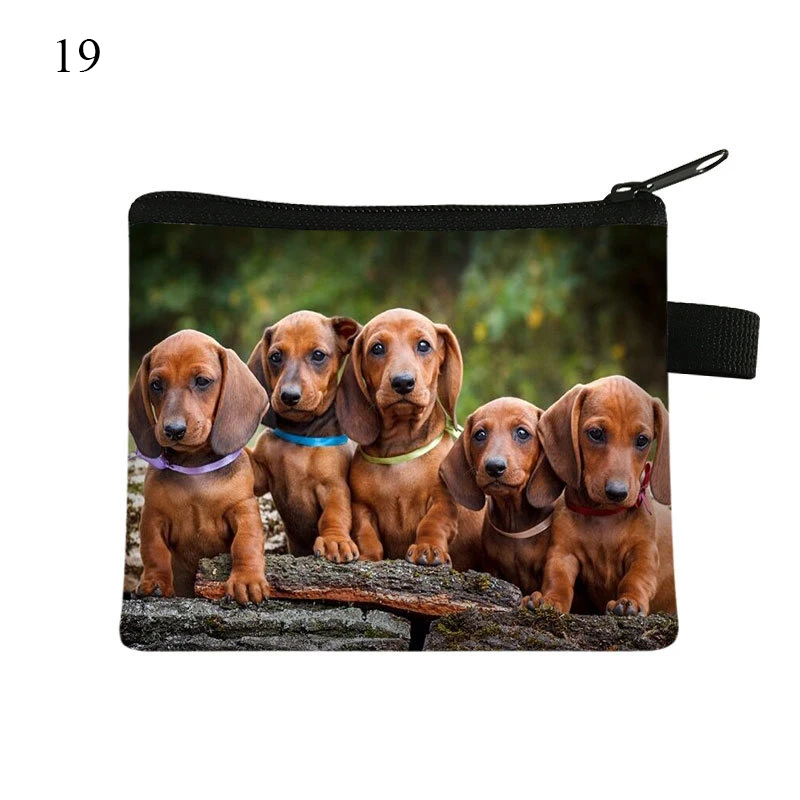 Cute Dachshund Dog/Cat Polyester Coin Purses Girls Cute Pet Animal Wallet Ladies Clutch Change Purse Female Mini Money Bag 1PCS coin purse women wallet coin wallet change bag