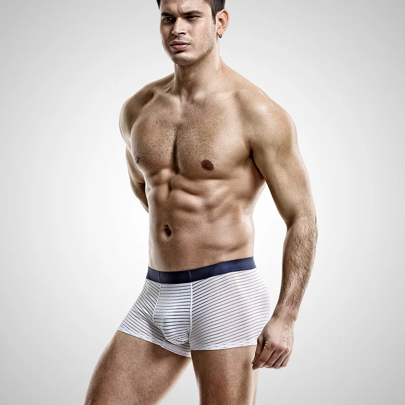 

Sexy Hollow Male Underwear Stripe Middle Waist Men Ice Silk Slip Cueca Panties Calzoncillos Homme Slim Soft Underpants