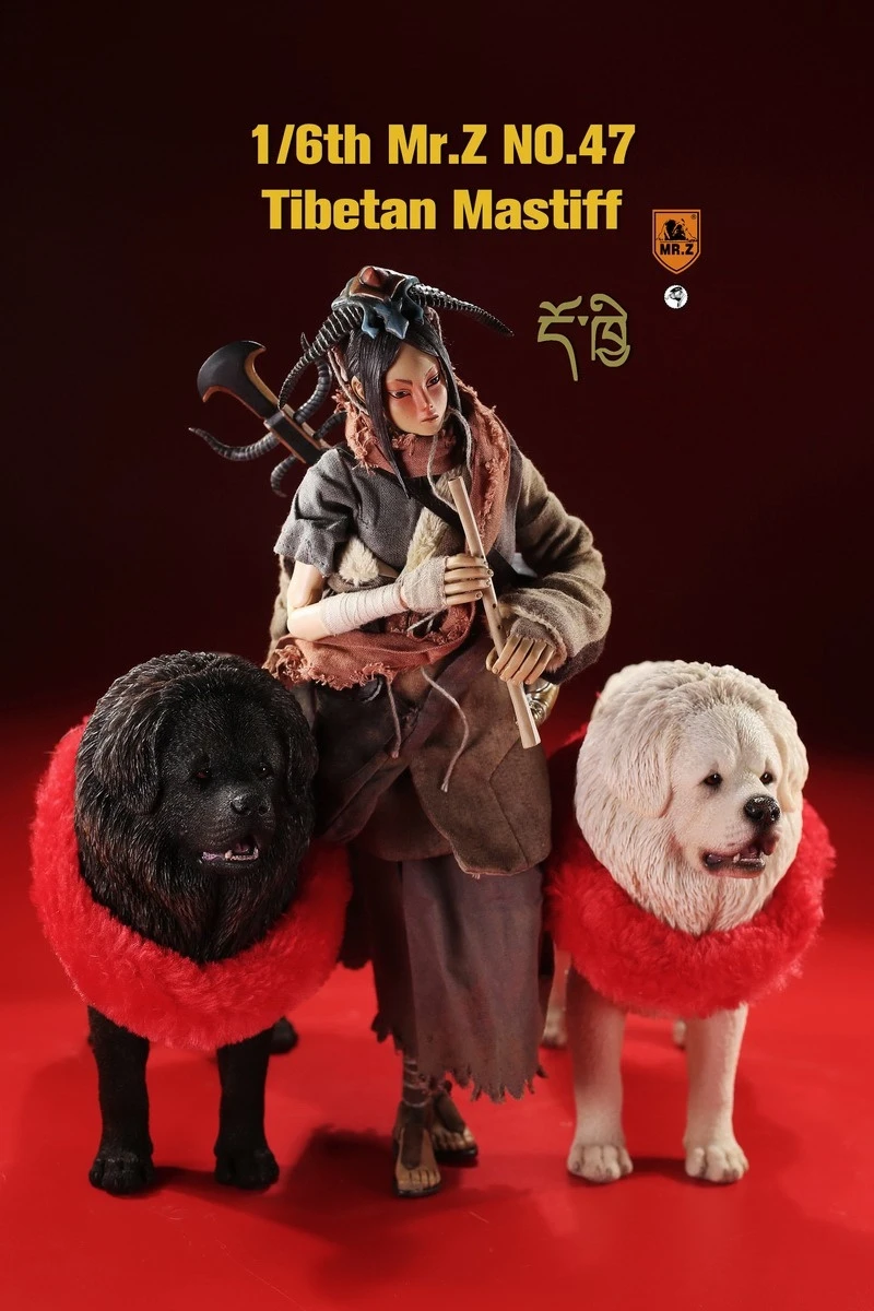 O1CN01FoK9eV1bQizBawiEF_!!3230463460