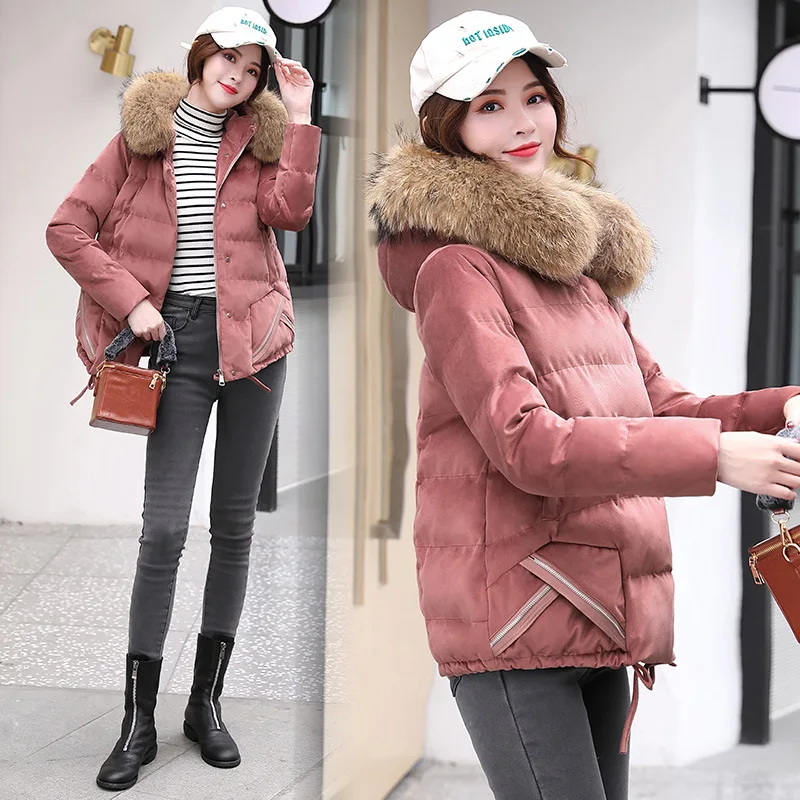 

Small Cotton-Padded Jacket Women's Short 2018 Winter New Style Korean-style Gold Velvet Cotton-padded Clothes Thick down Jacket
