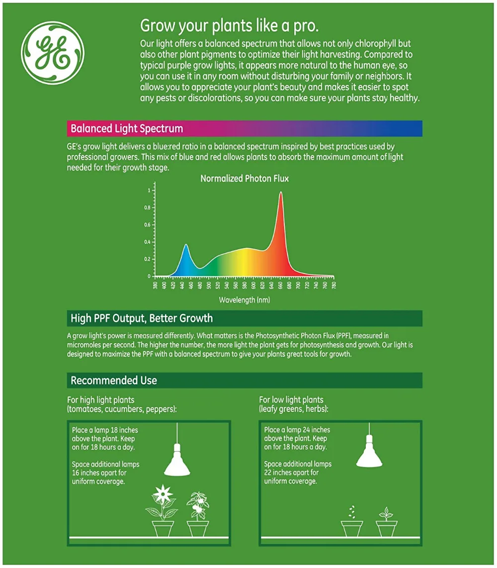 81x5iFGq-UL._AC_SL1500_