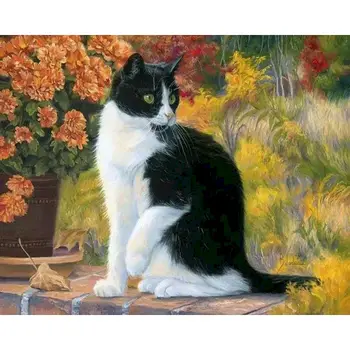 

GATYZTORY Paint By Number Black And White Cat Oil Painting Wall Art Gift DIY Picture By Numbers Acrylic Kits Home Decors