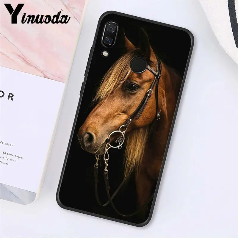 Running Horse Animal