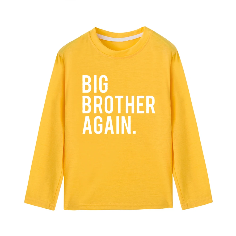 Детские футболки с длинными рукавами для мальчиков с надписью «Big Brother Again»; крутая Осенняя футболка с надписью «Brothers family look»; футболки; одежда для малышей - Цвет: 41L5-KLTYE-