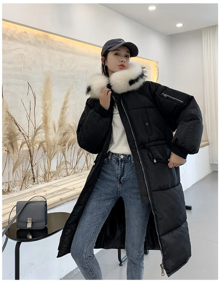 Cotton2_25.jpg
