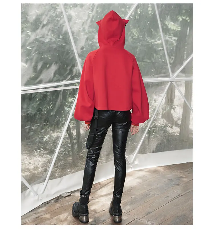 XITAO оболочка Drawstring толстовки женские модные новые осенний пуловер с рукавами-фонариками маленькие свежие повседневные стильные толстовки xj70