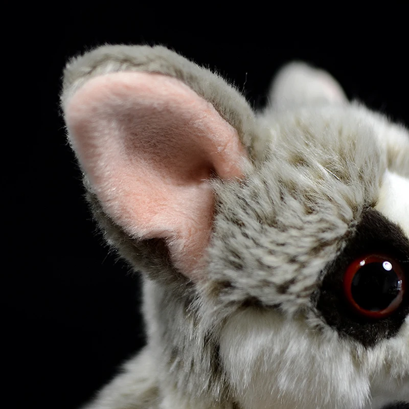 Милый Galago Senegalensis плюшевая игрушка Северный Малый Galago liquife мягкая имитационная кукла настоящая жизнь животные подарок для детей