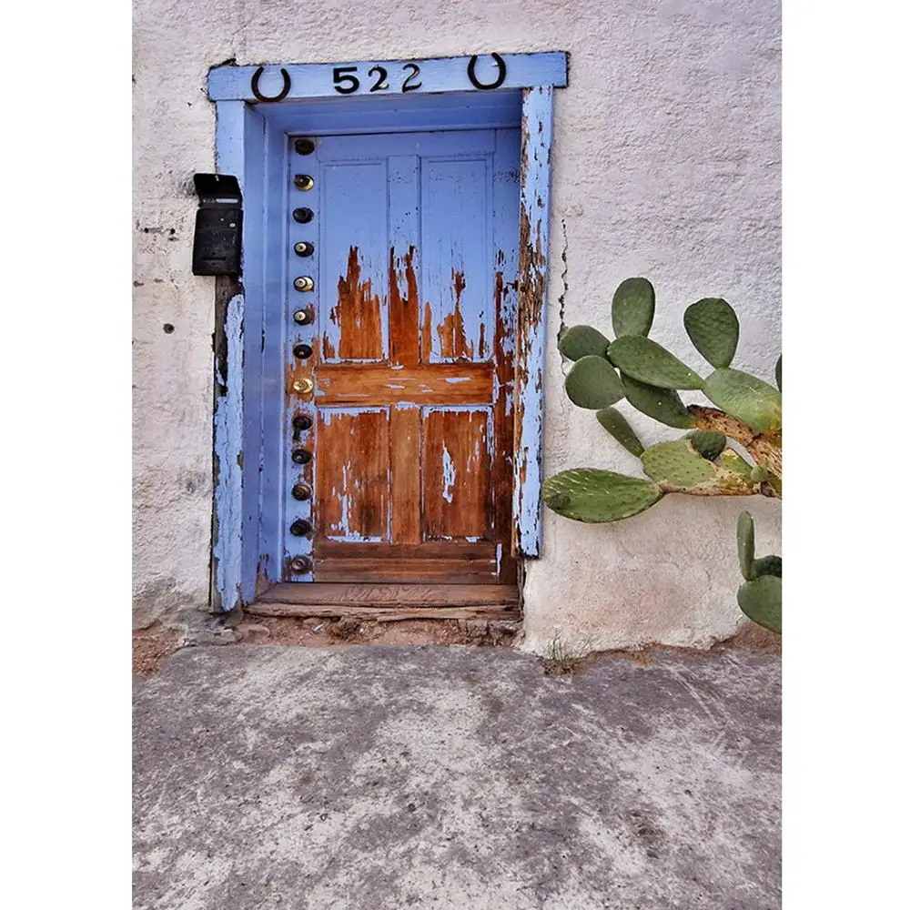 Blue Oil Paint Wooden Door Cactus Photo Backdrop Vinyl Studio Background for Children Baby Portrait Photocall Photography Props |