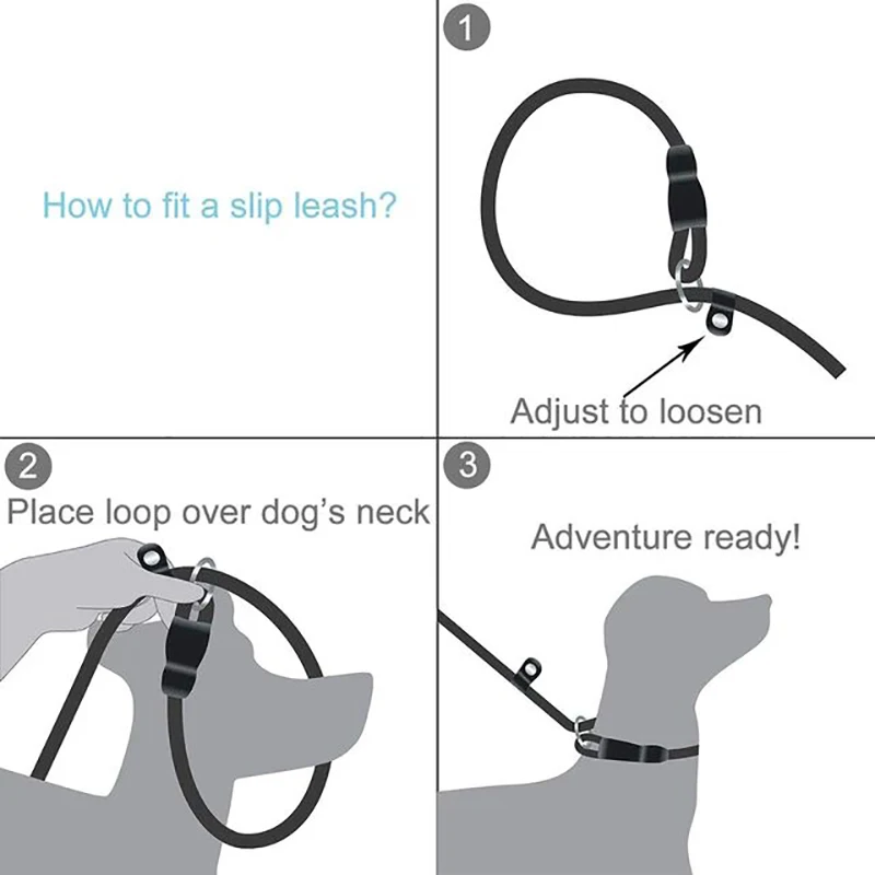 1.5M 2.0M 3.0M Pet Dog Leash small Large Puppy Two Dog Leash Recall Training Tracking Obedience Long Lead Mountain Climbing Rope