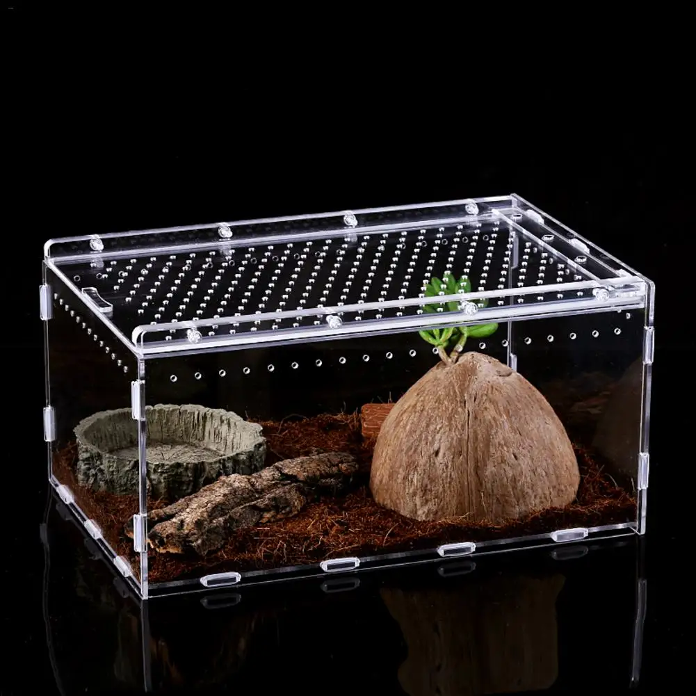 Акриловая коробка для разведения рептилий прозрачная панорамная миска для кормления малышей от насекомых для змеи, ящерицы, ящерицы, Скорпиона, Цельсия