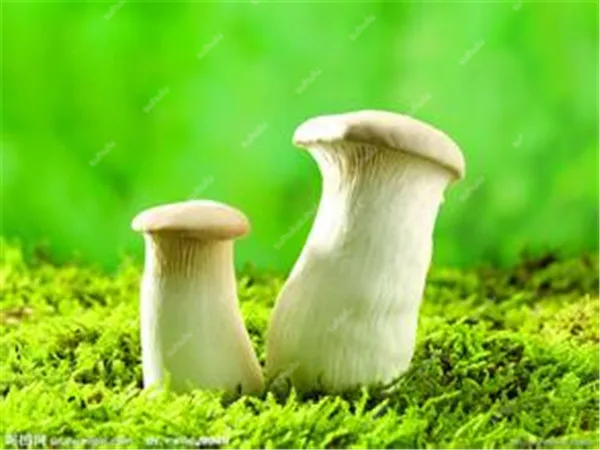 20190927_170416_095