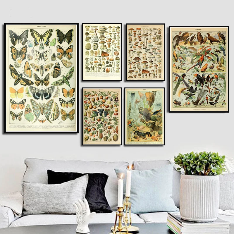 Butterfly-Birds-Vintage-Poster-and-Prints-Flowers-Mushrooms-Botanical-Educational-Prints-Canvas-Wall-Art-Painting-Pictures (3)