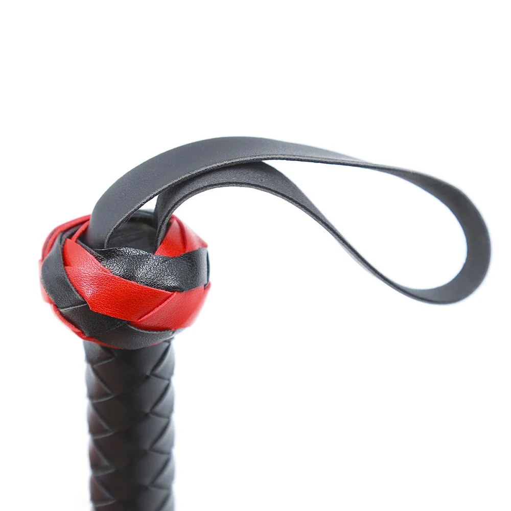 Sex whip (7)