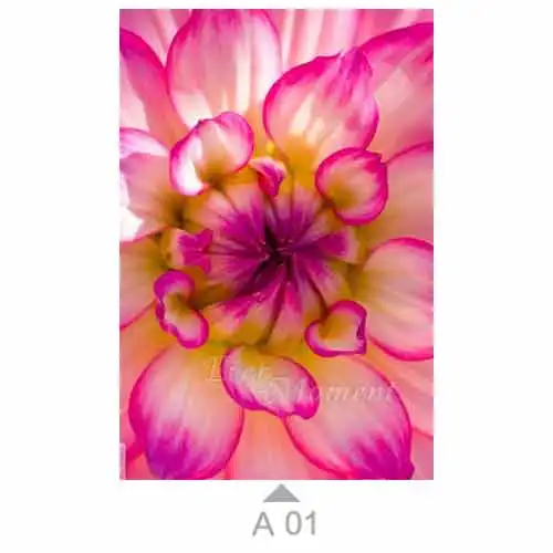 Алмазная картина Ever Moment 5D DIY, украшение в виде лепестков цветов, Стразы ручной работы, полная квадратная дрель, алмазная вышивка, мозаика 3F2240 - Цвет: A01