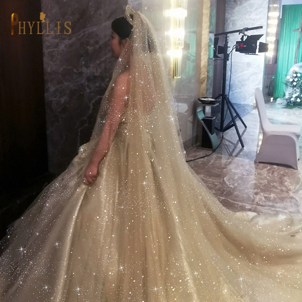 B58 Champagne Wedding Veil Bling Bridal Veils Long 3M/5M Sparkle Veil Cathedral Wedding Veils One Layer Shiny Veil with Comb B58 Champagne Wedding Veil Bling Bridal Veils Long 3M/5M Sparkle Veil Cathedral Wedding Veils One Layer Shiny Veil with Comb