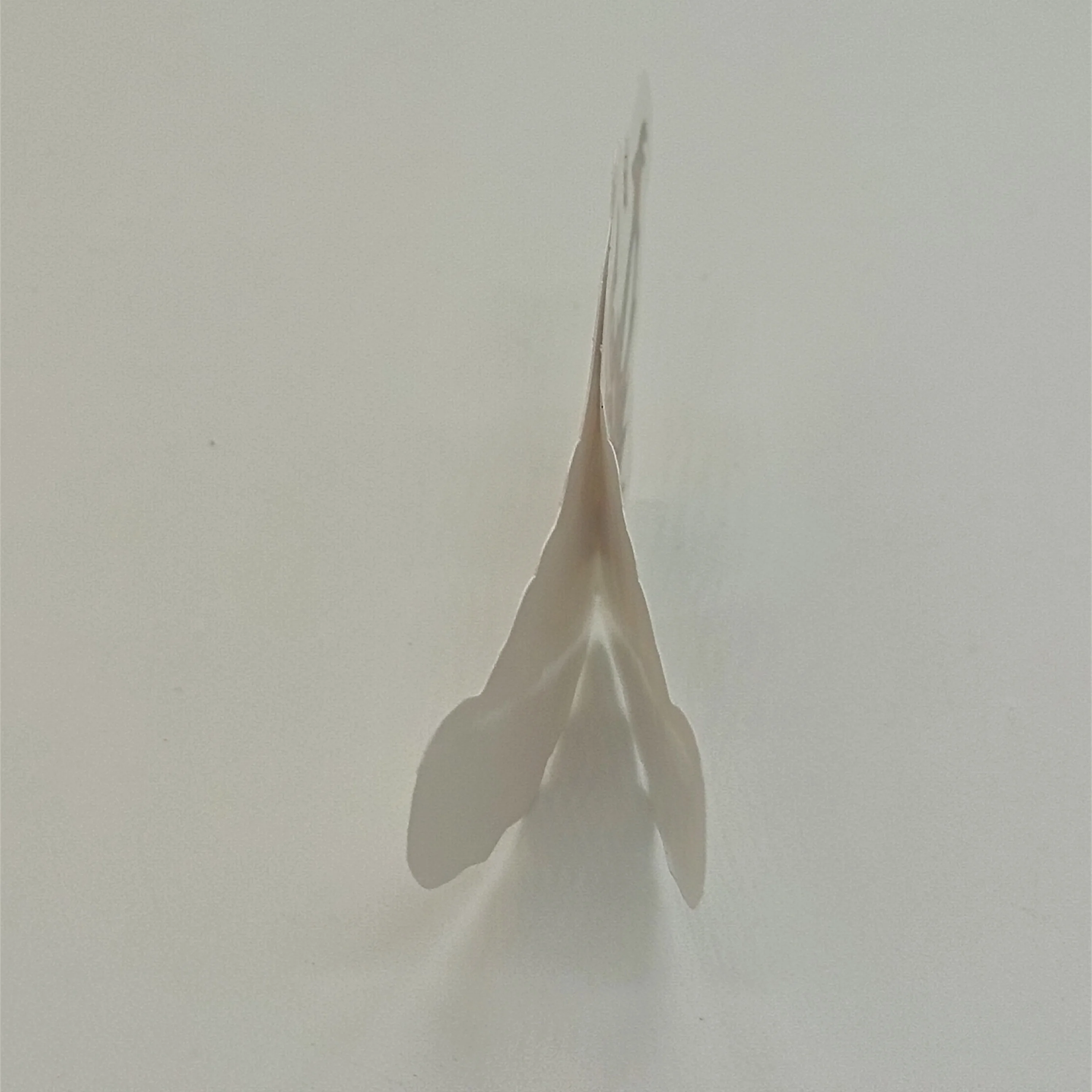 Рисунок 2 - (Матовый стиль) цветная печать