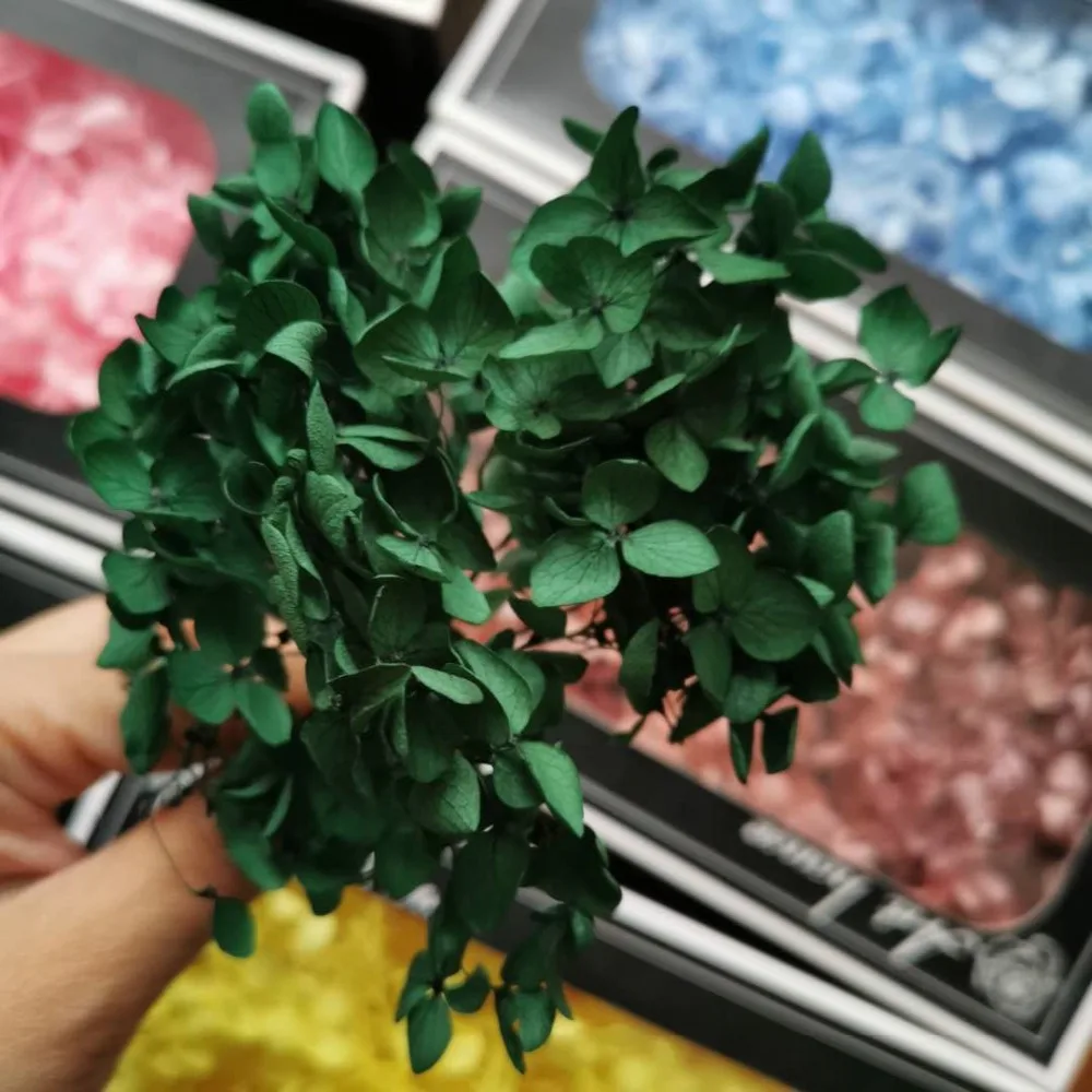 9b5d176aaa2724d0c09dd2dcd1d9815