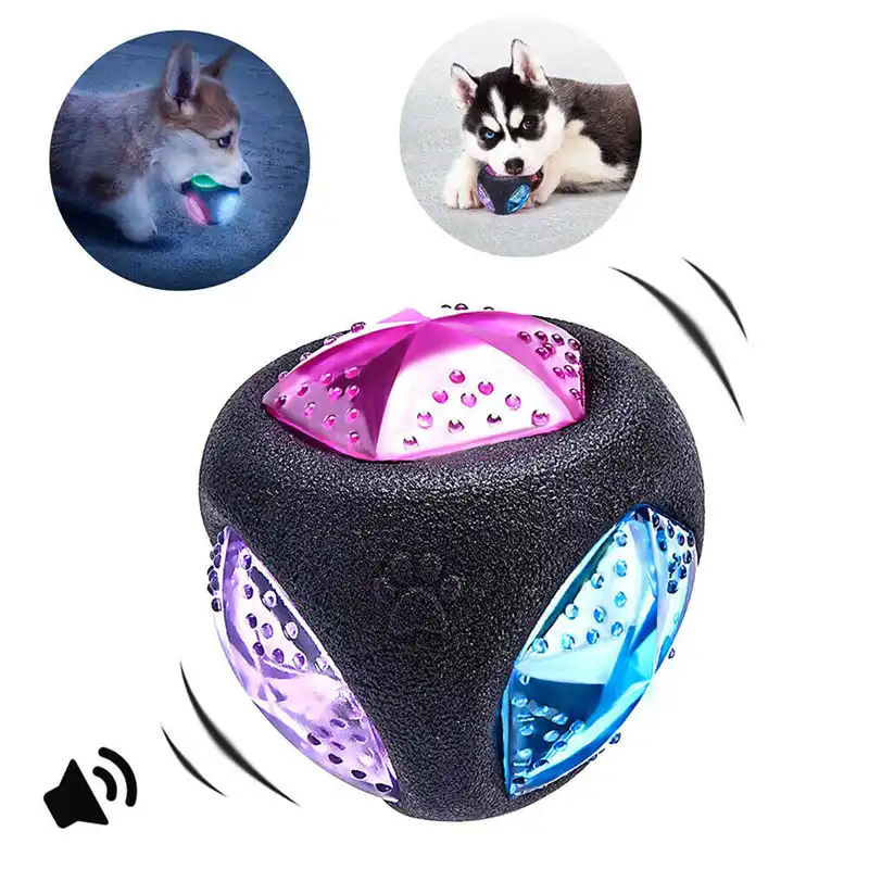dog training ball