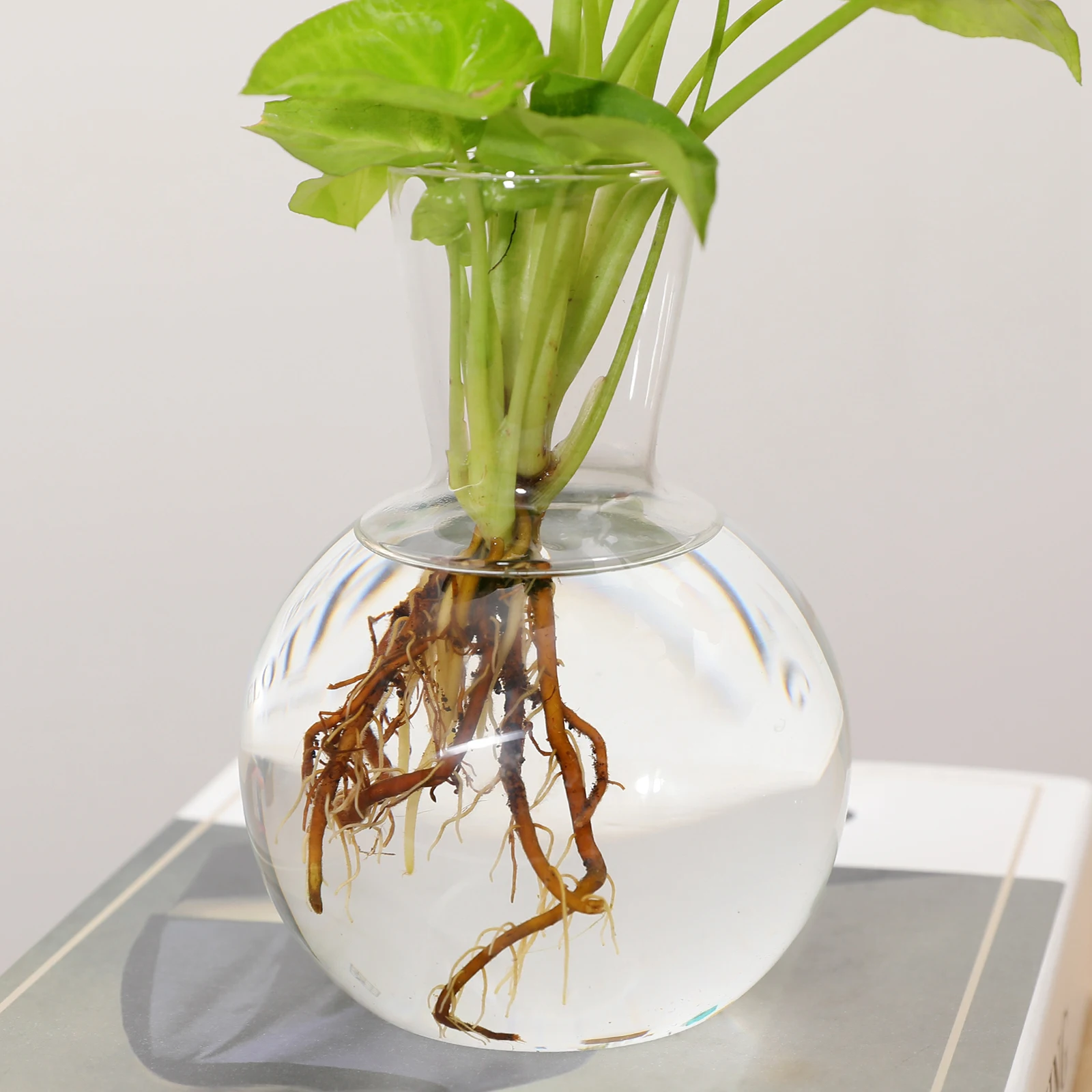 Free Standing Glass Ball Vase Flower Plant Pot Terrarium Container Wedding Decor