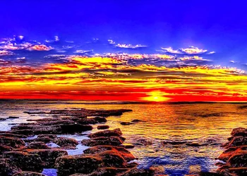 

14/16/18/27/28 Top Quality Beautiful Counted Cross Stitch Kit Abstraction Beauty and Grape A10776