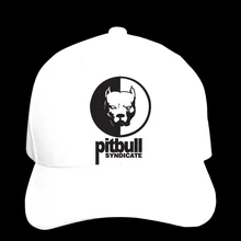 Бейсбол Кепки защитный чехол для телефона синдикат логотип шляпа с остроконечным Кепки