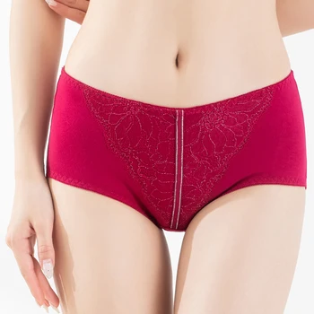 

Women's 2 Pack Plus Size Sexy mid Rise Sheer Lace Breathable Panties Hipster