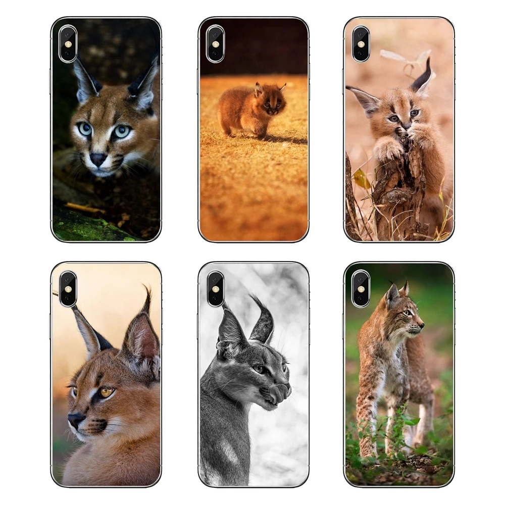 Africa Lynx Caracals постер с котенком для iPod Touch iPhone 4 4S 5 5S 5C SE 6 6S 7 8 X XR XS Plus MAX мягкие