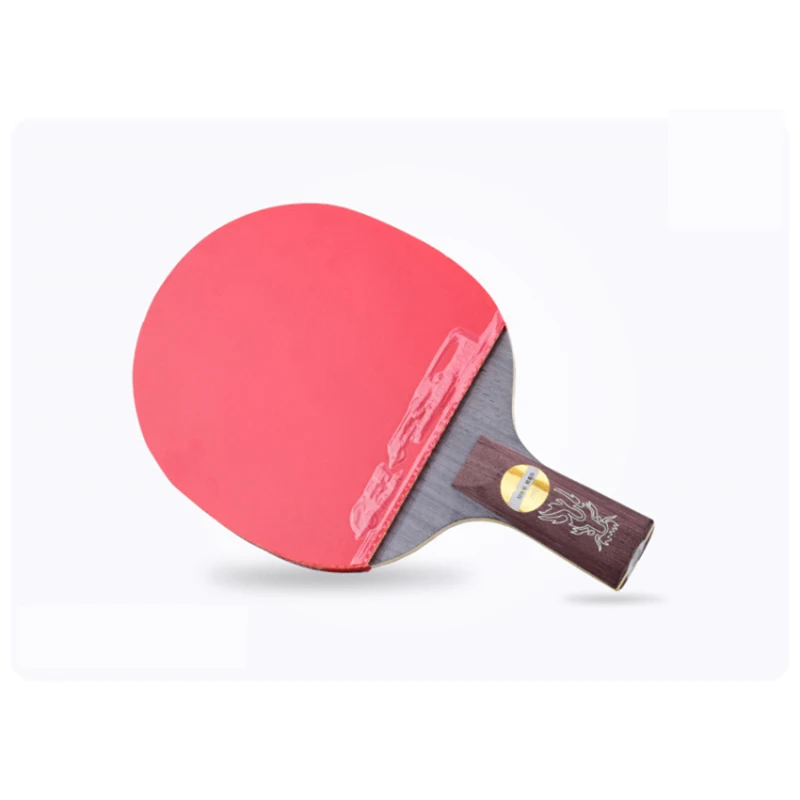 Dhs Hurricane Ma Long Table Tennis Racket Arylate Carbon Alc Skyline 3