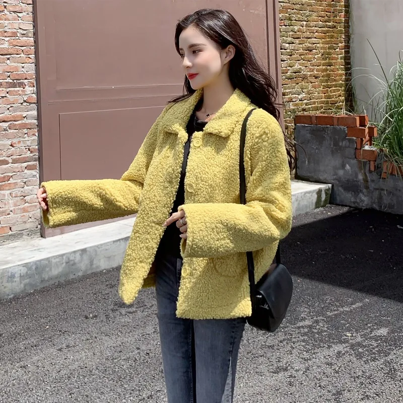 Very best  Photo Shoot 2019 Autumn And Winter New Style Korean-style Woolen Jacket Women's Graceful Fur Lambs 