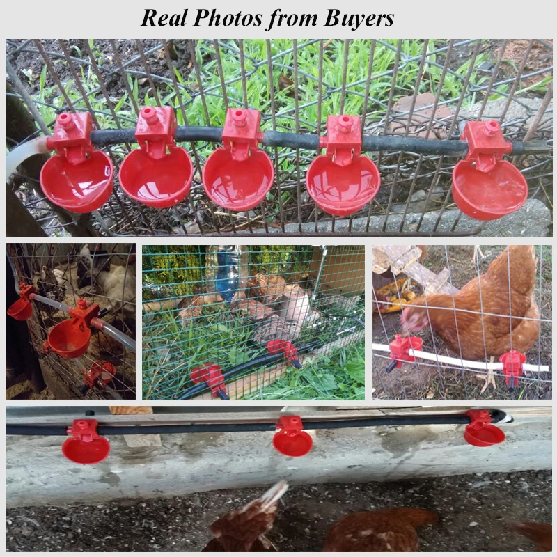 30 PCS Chicken Waterer Hens Quail Birds Drinking Bowls Water For Chicken Coop Chick Nipple Drinkers Poultry Farm Animal Supplies
