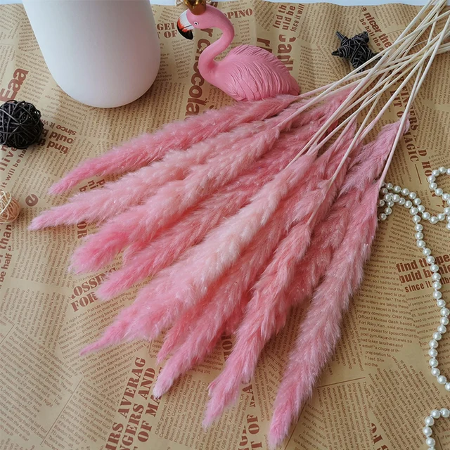 30pcs Small Pampas Grass Bulrush Natural Dried Phragmites Christmas Home Decor Diy Dried Real Flowers Bouquet Flower Arrangement D