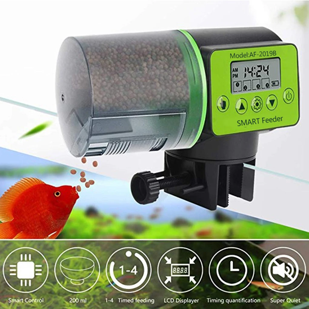 digital fish feeder