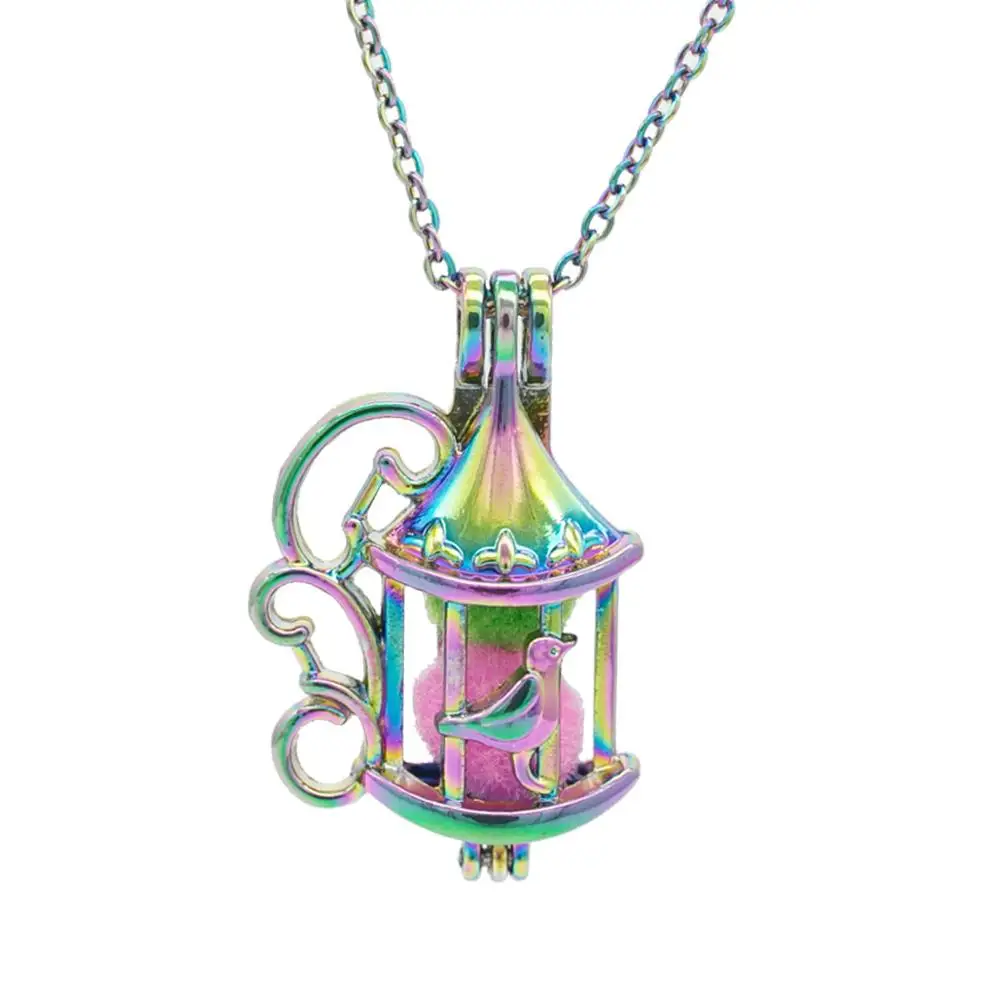 

1pcs Rainbow Bird Cage Pearl Cages Pendant Essential Oil Diffuser Jewelry Making Locket Necklace Charms DIY