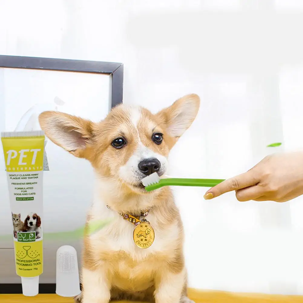 

Pet Toothpaste Toothbrush Set Finger Toothbrush For Dog Fresh Tone Fangs Stone Tooth Cleaning Set Beef Taste Toothpaste Care #D