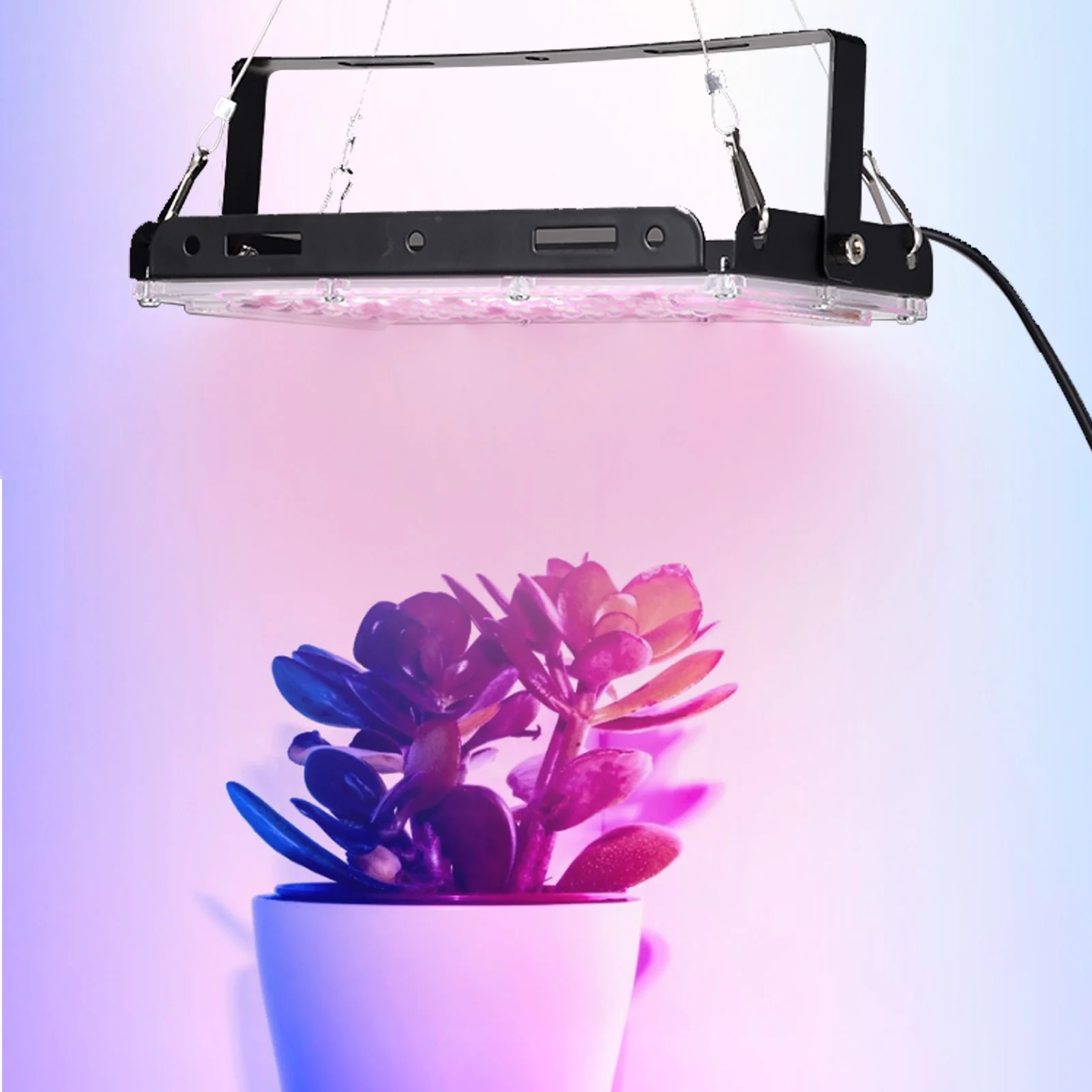 

50W/100W 50/96 LED Plant Growth Flood Light Durable Practical Lamp with Hanging Rope EU Plug 220V