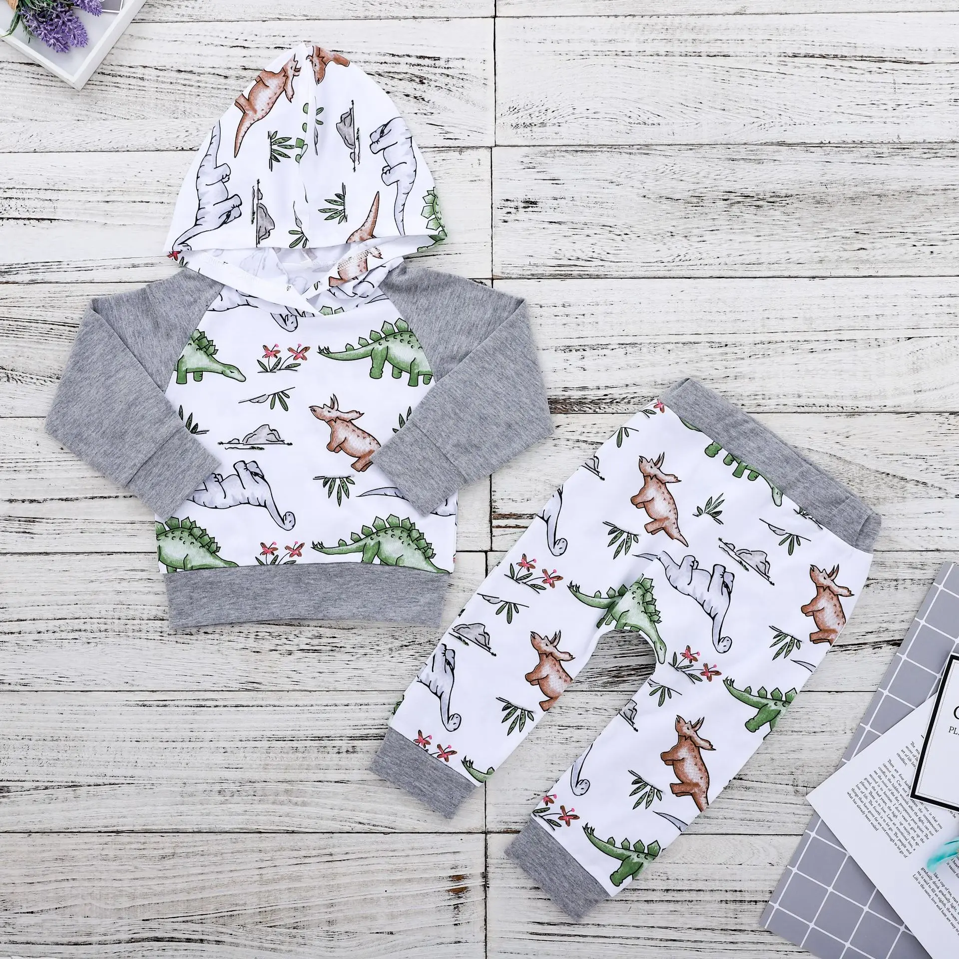  Baby Clothes Set Newborn Autumn Long Sleeve Top Hoodie Leggings Pants Dinosaur Cartoon Printed 2 Pi