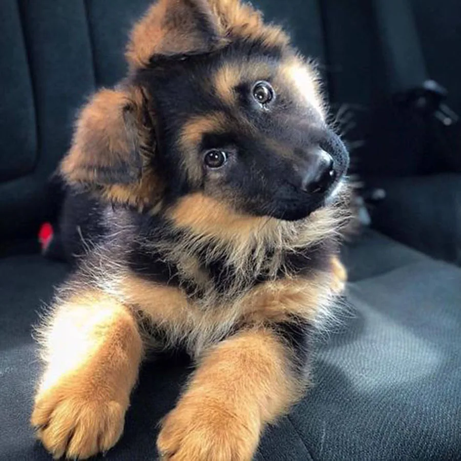 H93533c2d02974063ac790b9227185678P