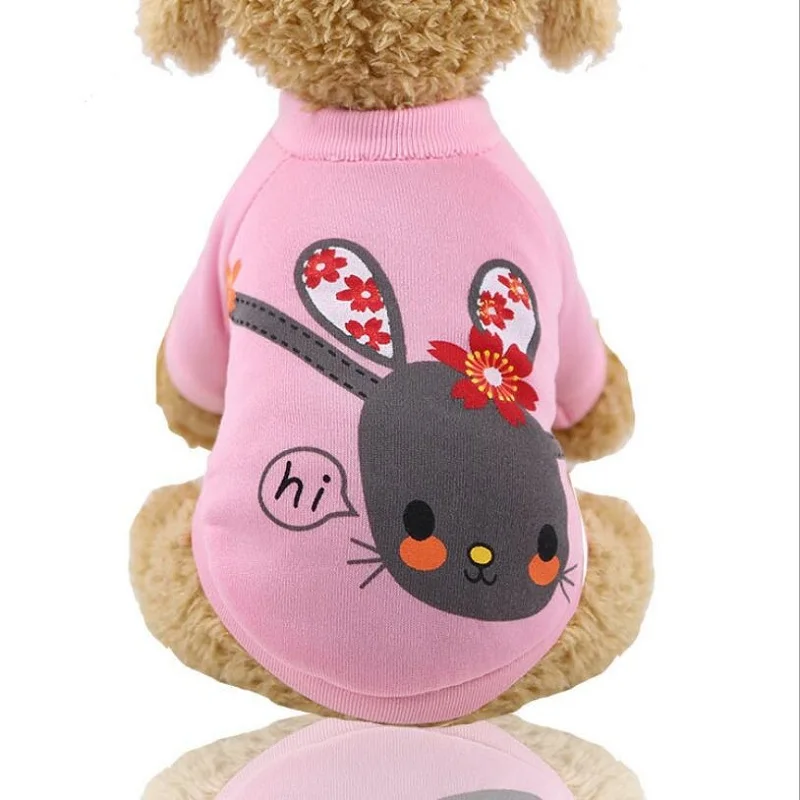 QQ截图20191218172624