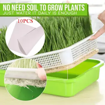 

Sprout Seedling Tray With10 sheets Nursery Paper Double-layer Plastic Hydroponic Flower Basket Flower Plant Sprouting Tray Box