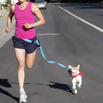 

1Pcs Hands Free Dog Pets Lead Walking Running Jogging Waist Belt Leash Adjustable Special Traction Rope Pets Supplies Tools