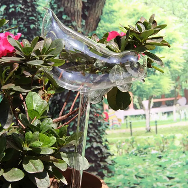 Симпатичные стеклянные растения Цветок подачи воды 11*5 см птичья форма полива Декор прозрачный садовый контейнер домашний террариум