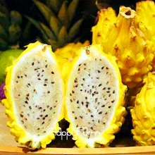 New!Sweet Pitaya Bonsai Tree Plants Dragon Fruit garden Pitaya flores Non-gmo Hylocereus Fruit, 100 plantas/Pack,#EV242E