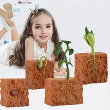 Pcv symulacja cykl życia zielonej fasoli wzrost roślin cykl figurki postaci kolekcja nauka edukacyjne zabawki dla dzieci tanie tanio 25-36m 4-6y 7-12y 12 + y CN (pochodzenie) Certyfikat europejski (CE) Plant Seed Model 3 5*3 5cm 3 5*4 2cm 5 3*9 3cm 3 5*6 7cm