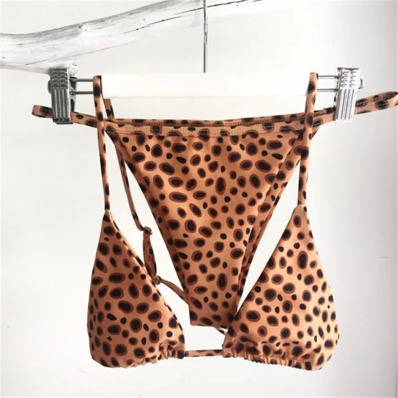 7593312272_1221781831