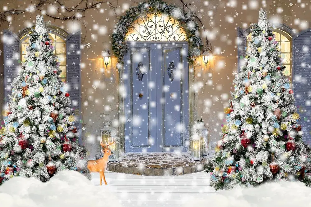 Capisco Снежинка Фотофон Рождественская елка зима Арка Дверь год фото студия фон фотография Фотостудия