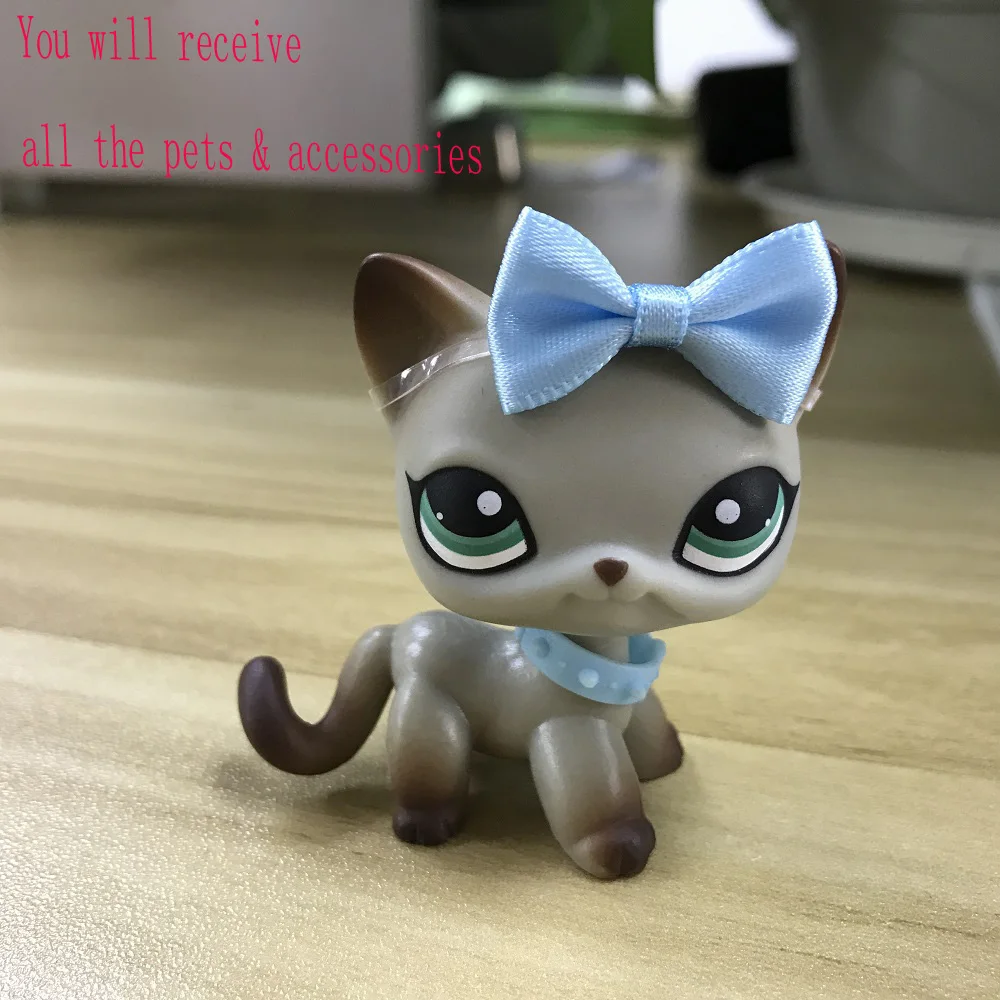 Pet короткие волосы кошка серый котенок #391 зеленые глаза прозрачный колышек